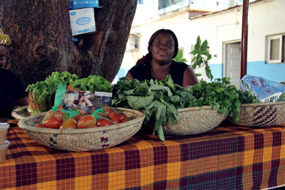 Produttori mozambicani Produttori