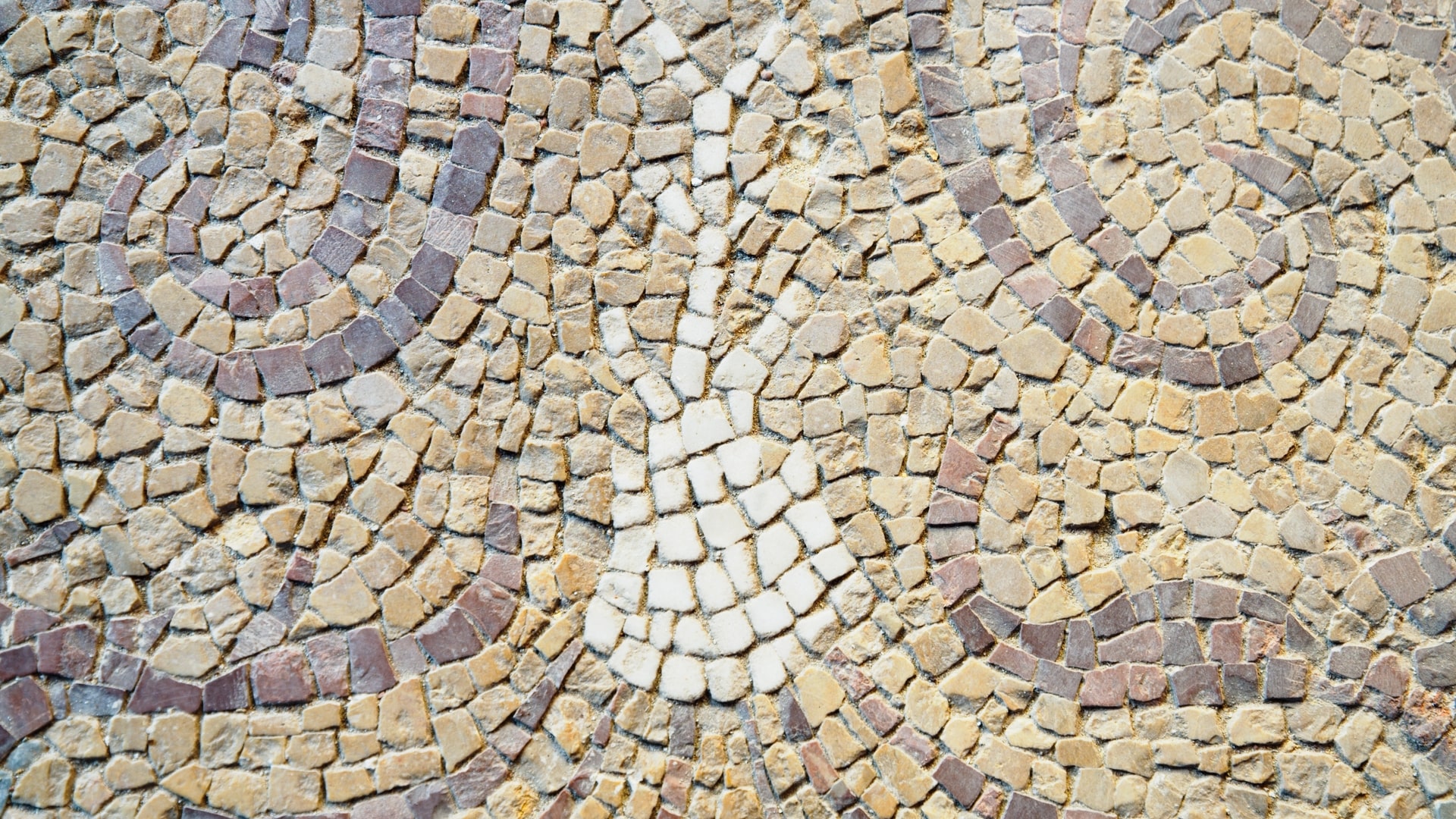 SALVIAMO IL PAVIMENTO DELLA TORRE! di L'Arco di Giano Coop. Soc. SALVIAMO IL PAVIMENTO DELLA TORRE!-L'Arco di Giano Coop. Soc.