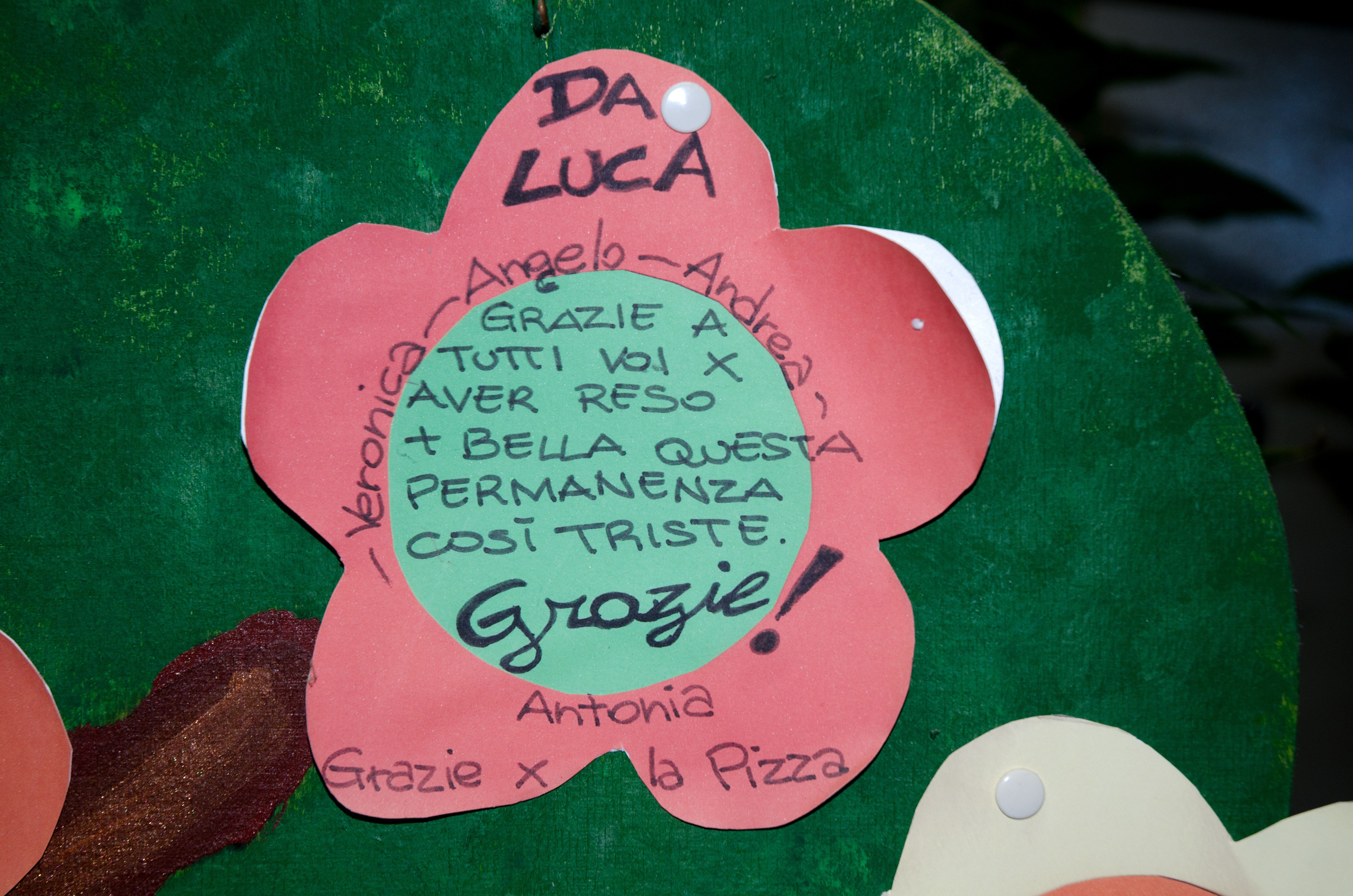 Milano Loves You Run 2016 di LILT Milano Milano Loves You Run 2016 -LILT Milano