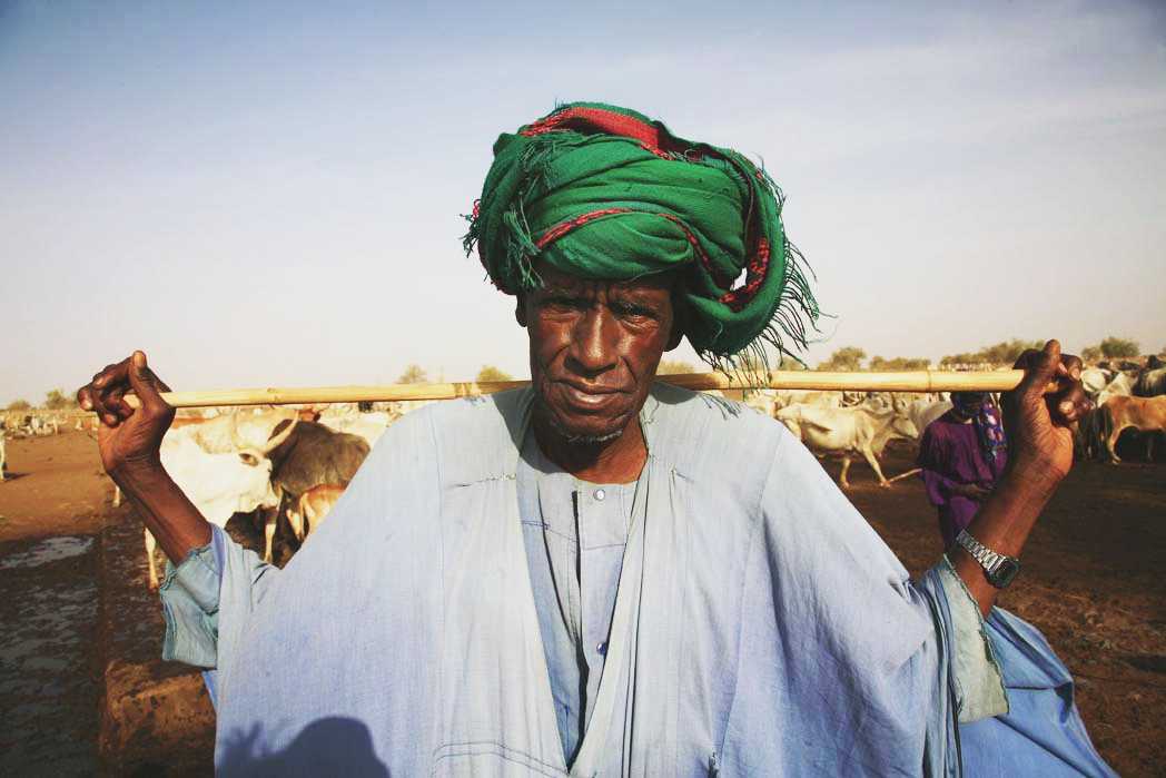 MALI: ALIMENTARE LA PACE di CISV MALI: ALIMENTARE LA PACE-CISV