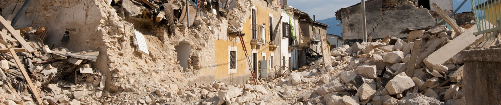 Rete del Dono Emergenza Terremoto Centro Italia 2016