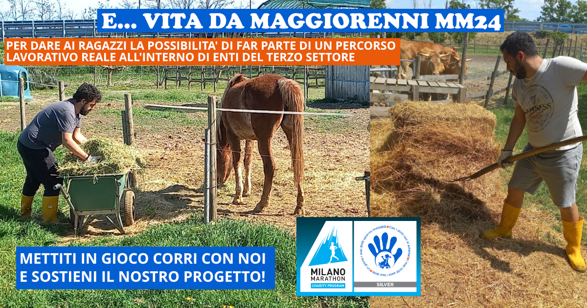 VITA DA MAGGIORENNI MM24