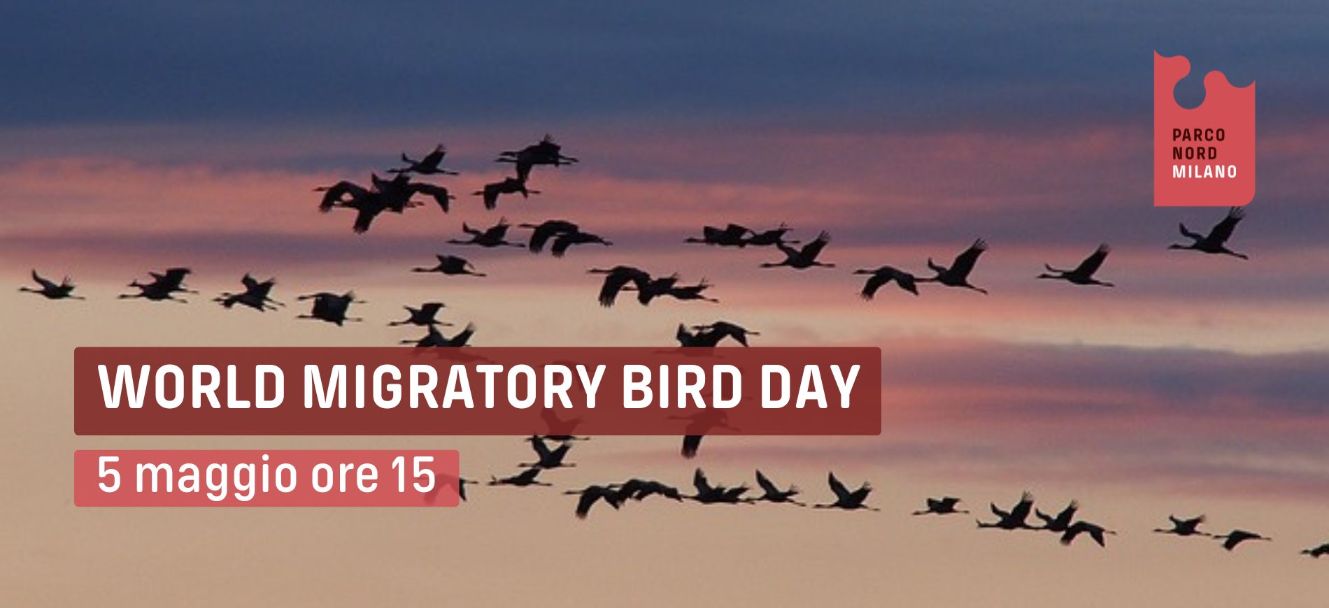 vetrina 5 maggio.jpg