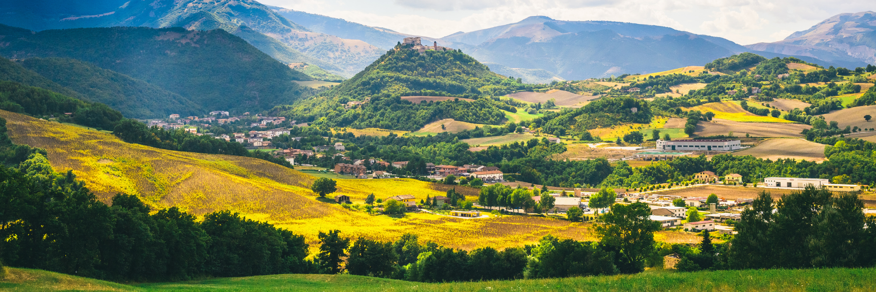 Rete del Dono Fondazione Carifano