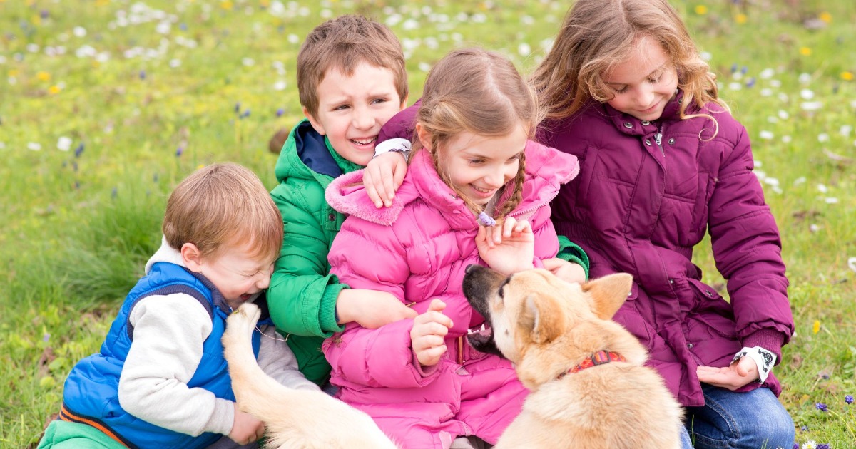 zamPETtiamo in Mongolfiera di Giorgia Masiero zamPETtiamo in Mongolfiera-Giorgia Masiero