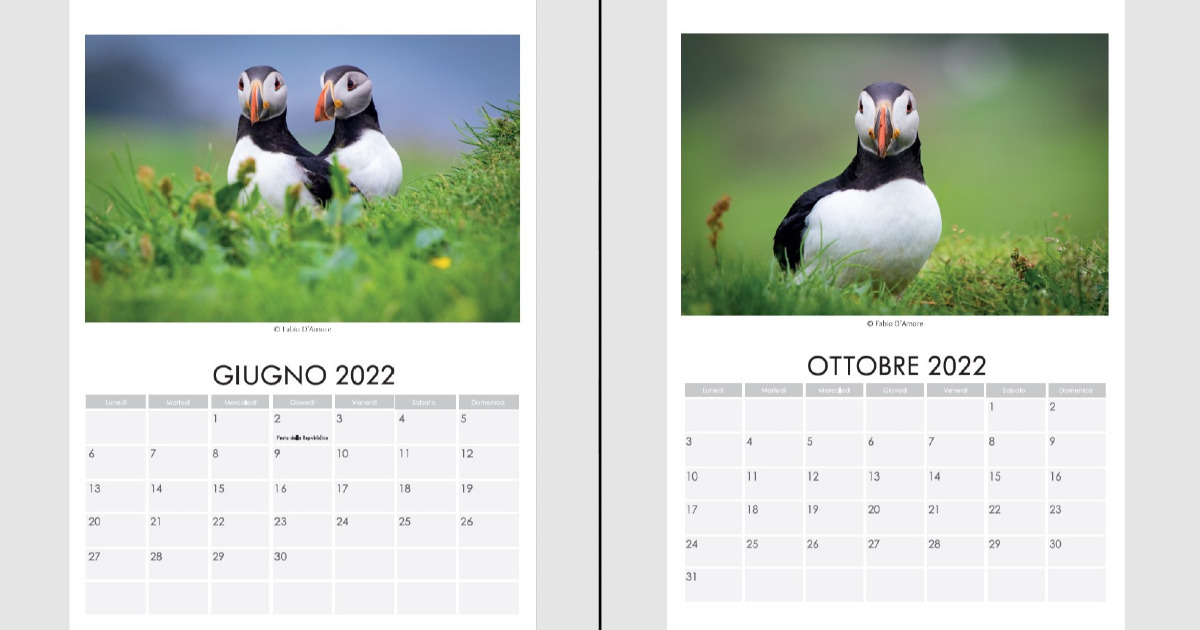 Calendari 2022 Isole Faroe e Puffin di Fabio D'Amore Calendari 2022 Isole Faroe e Puffin-Fabio D'Amore