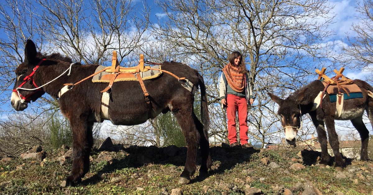 Corriamo contro l'adamantinoma di Nicolò Caserini Corriamo contro l'adamantinoma-Nicolò Caserini