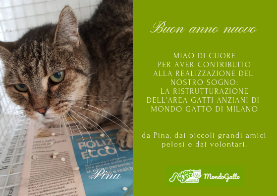 Sostieni l'acquisto di 1 mq di recinzione