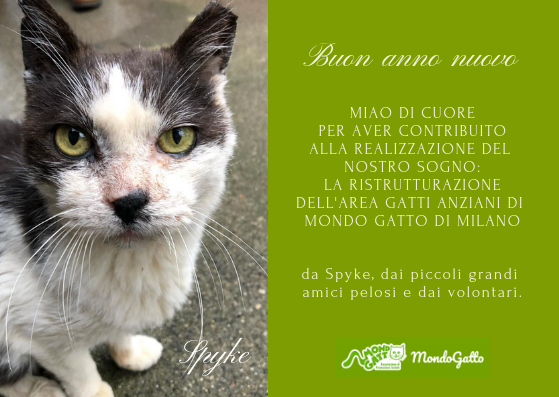 Permetti l'avvio dei lavori all'area anziani