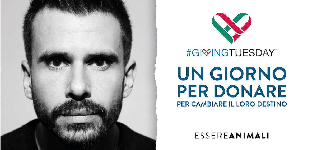 Una speranza per gli animali di Giovanni Menniti Una speranza per gli animali-Giovanni Menniti