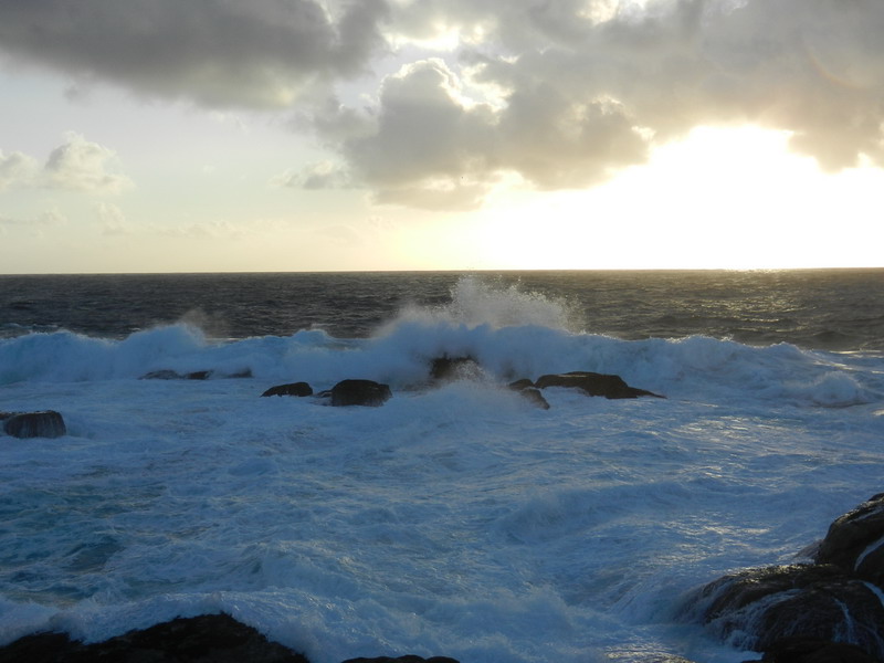 In cammino per regalare la luce di Barbara Abbruzzese In cammino per regalare la luce-Barbara Abbruzzese