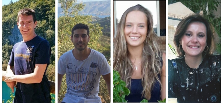 TIGER ROLL di Alessia Stabile TIGER ROLL-Alessia Stabile