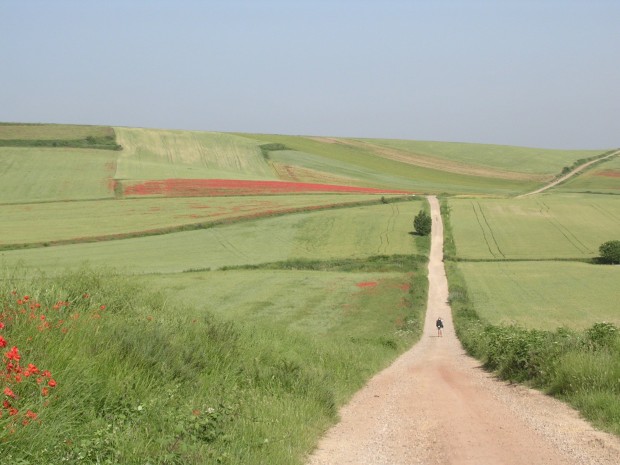 In cammino per regalare la luce di Barbara Abbruzzese In cammino per regalare la luce-Barbara Abbruzzese
