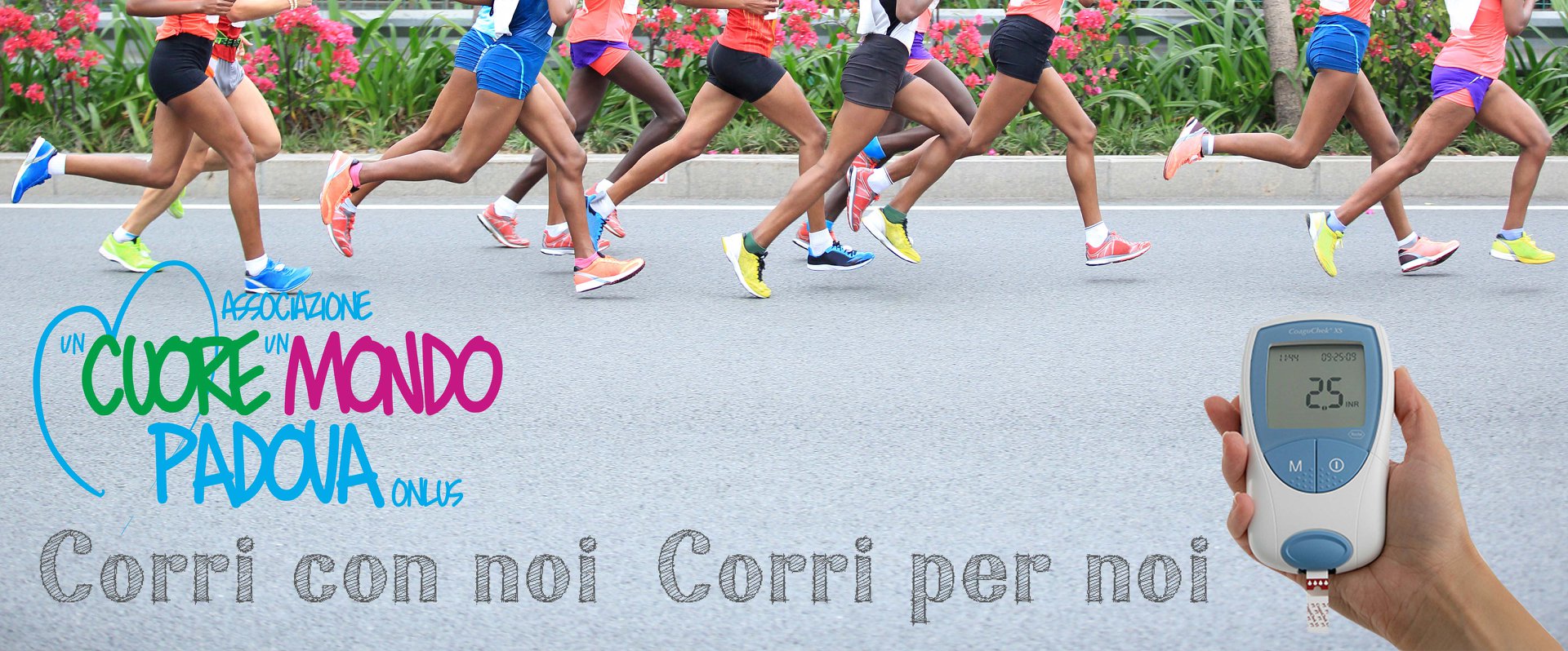 Cardiopatia, Mon Amour di Alice Piccolo Cardiopatia, Mon Amour-Alice Piccolo