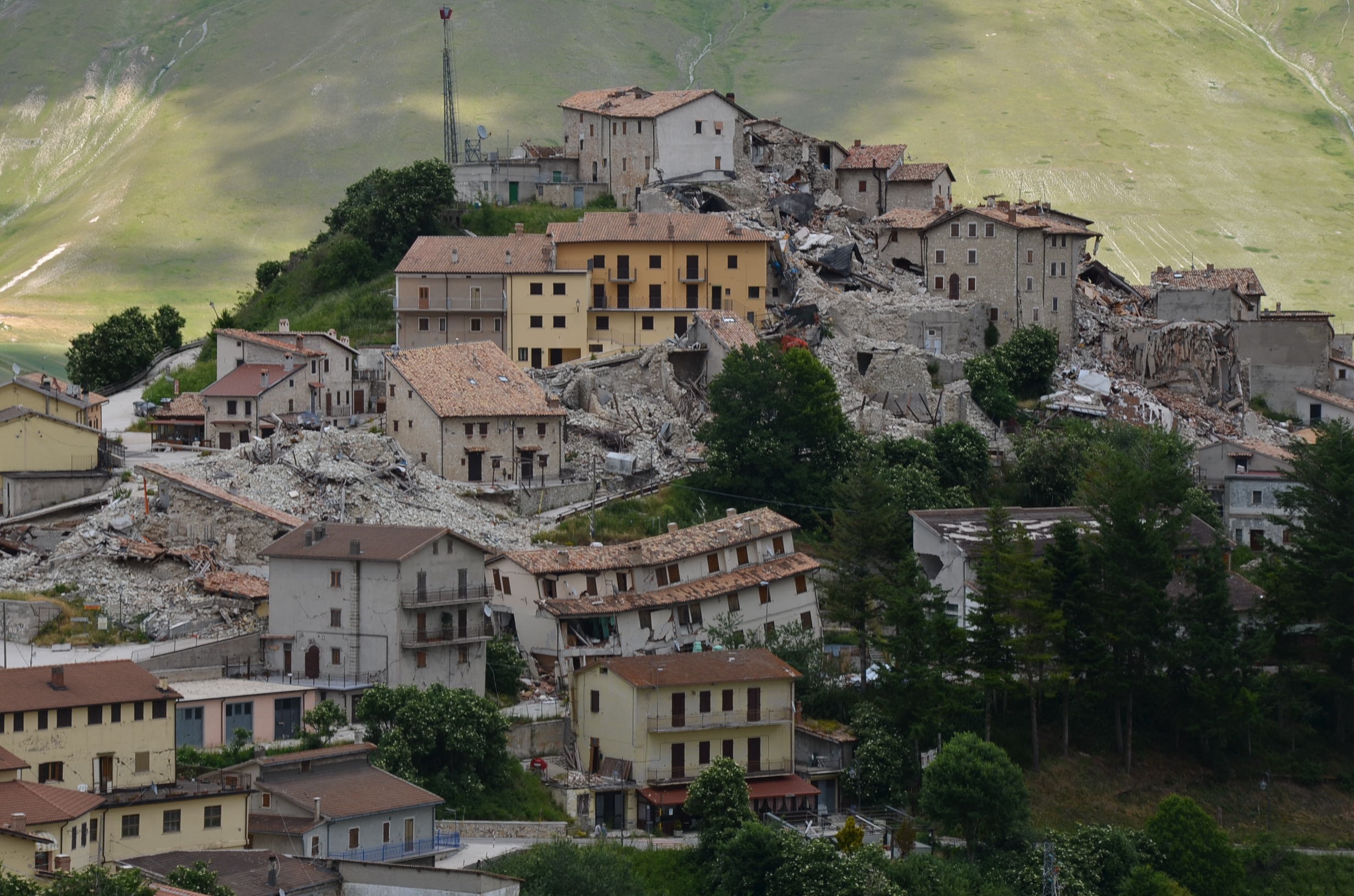 Walk With Peter di Peter Lerner Walk With Peter-Peter Lerner