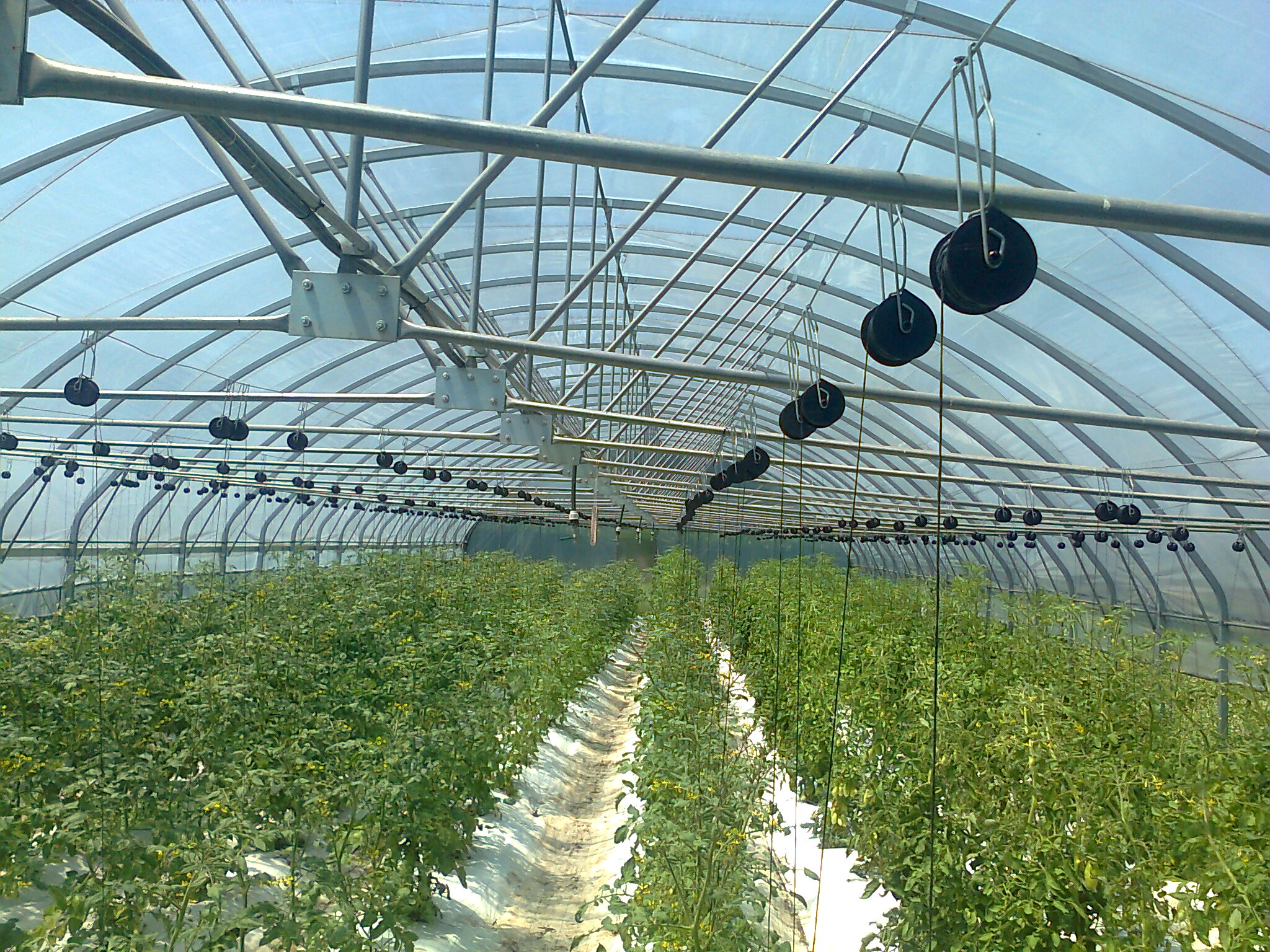 Orto sostenibile AMMP GIORGIO VALSANIA di ESSEBI GROUP di Egidio Boggia e Luca Signore Orto sostenibile AMMP GIORGIO VALSANIA-ESSEBI GROUP di Egidio Boggia e Luca Signore