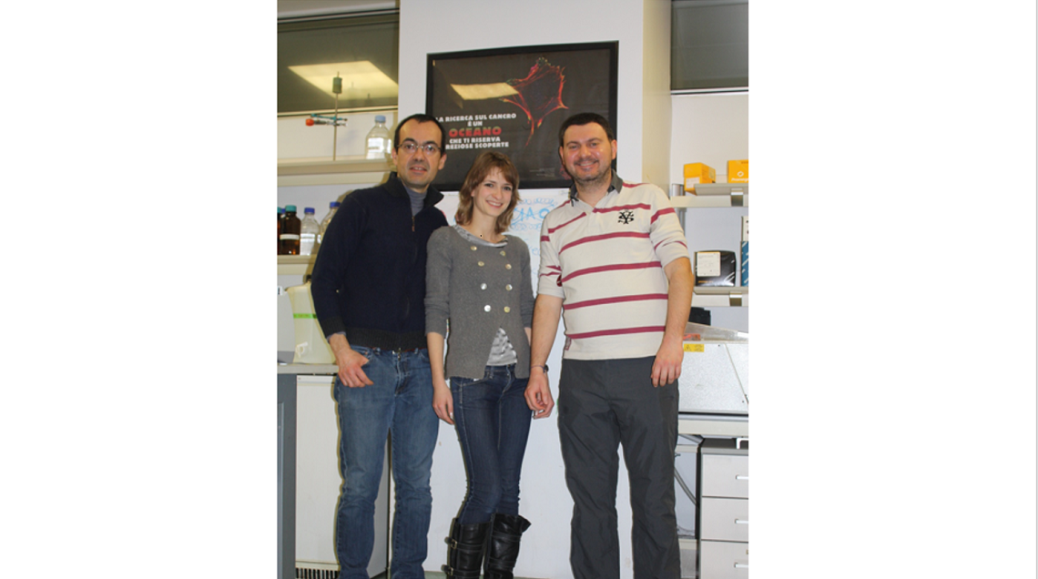 Fulmini di guerra di Sara Bisi Fulmini di guerra-Sara Bisi