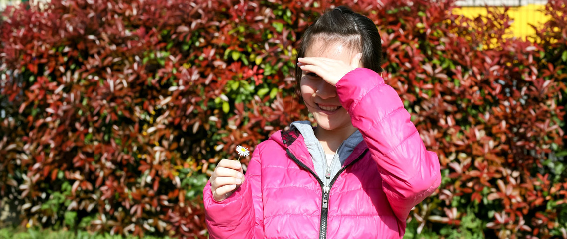 La Finestra d’Amicizia di Barbara Anibaldi La Finestra d’Amicizia-Barbara Anibaldi