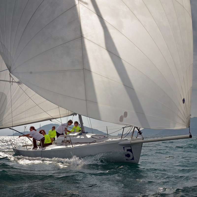 Sfida a favore della ricerca di Loredana Carso Sfida a favore della ricerca-Loredana Carso