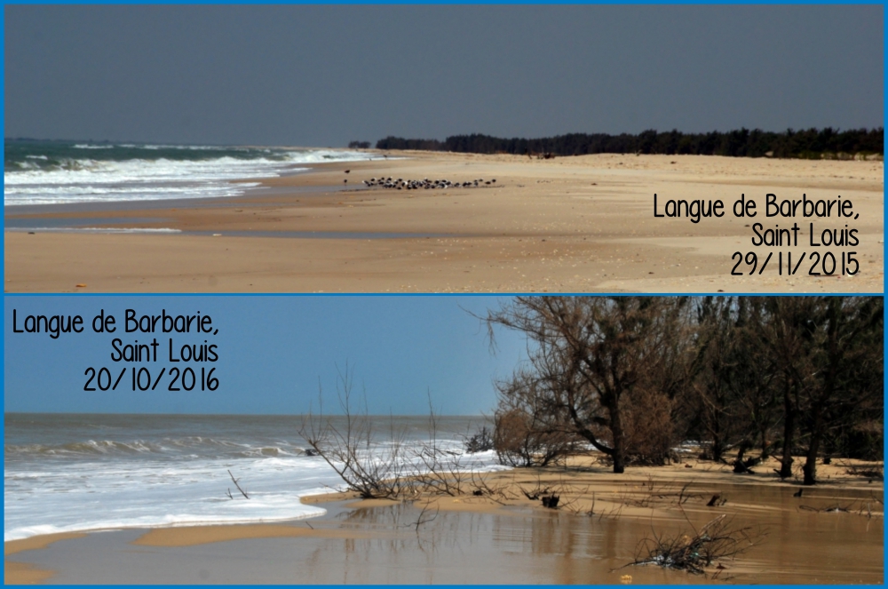 PIANTAla lì e corri con me! di Irene Maina PIANTAla lì e corri con me!-Irene Maina