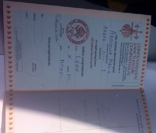 LA LUCE VERSO SANTIAGO di Adonella Melis LA LUCE VERSO SANTIAGO-Adonella Melis