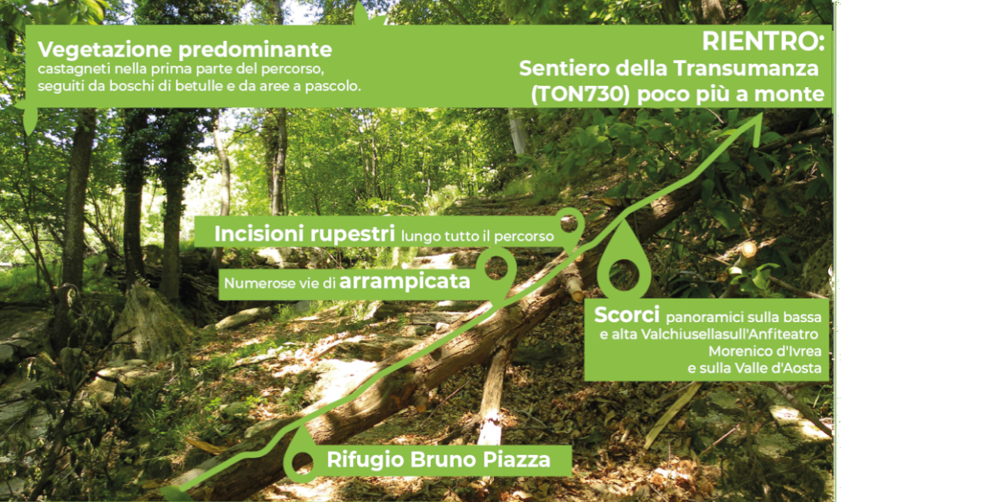 #THEFORESTPATH - IL SENTIERO DELLE ANIME di Consorzio Forestale del Canavese #THEFORESTPATH - IL SENTIERO DELLE ANIME-Consorzio Forestale del Canavese