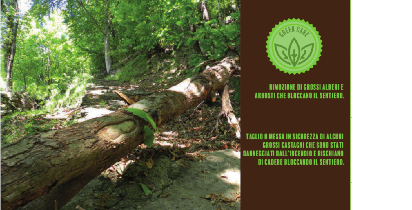 #THEFORESTPATH - IL SENTIERO DELLE ANIME di Consorzio Forestale del Canavese #THEFORESTPATH - IL SENTIERO DELLE ANIME-Consorzio Forestale del Canavese