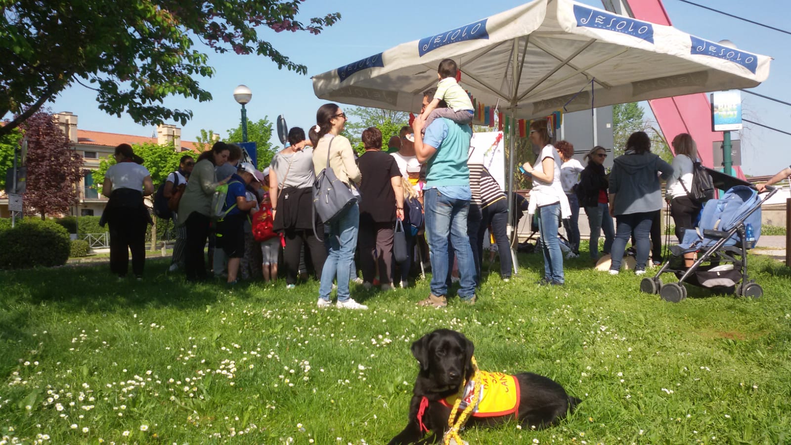 Da grande sarò un cane guida per ciechi. di Puppy Da grande sarò un cane guida per ciechi.-Puppy