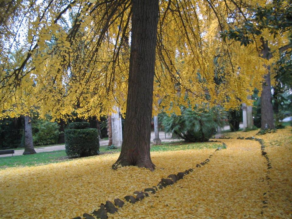 Aiutiamo Villa Sciarra di ADVS Aiutiamo Villa Sciarra-ADVS