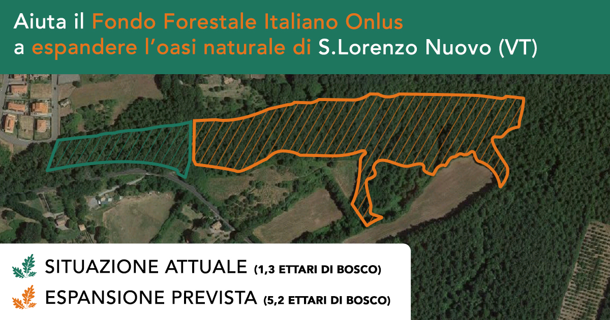 Espandiamo l'Oasi del Fondo Forestale di Fondo Forestale Italiano onlus Espandiamo l'Oasi del Fondo Forestale -Fondo Forestale Italiano onlus