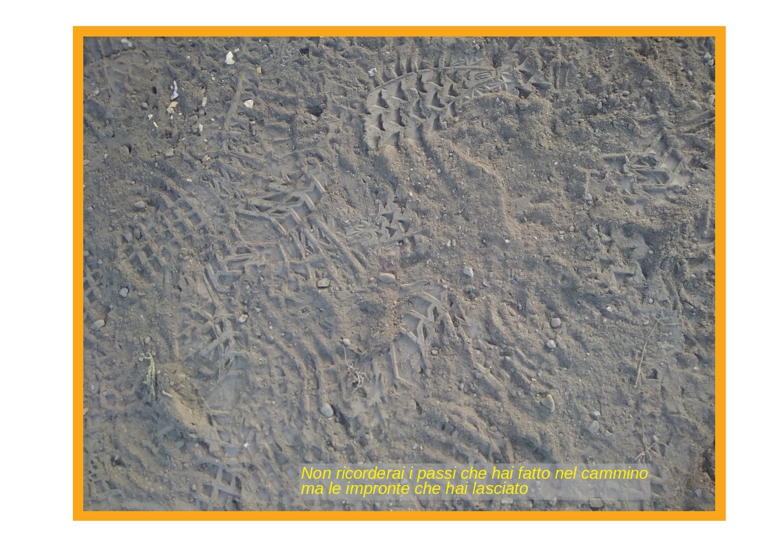 SOGNI NEL CASSETTO E.... SOTTO L'ALBERO di PROGETTO SOCIALE COOPERATIVA SOCIALE SOGNI NEL CASSETTO E.... SOTTO L'ALBERO-PROGETTO SOCIALE COOPERATIVA SOCIALE