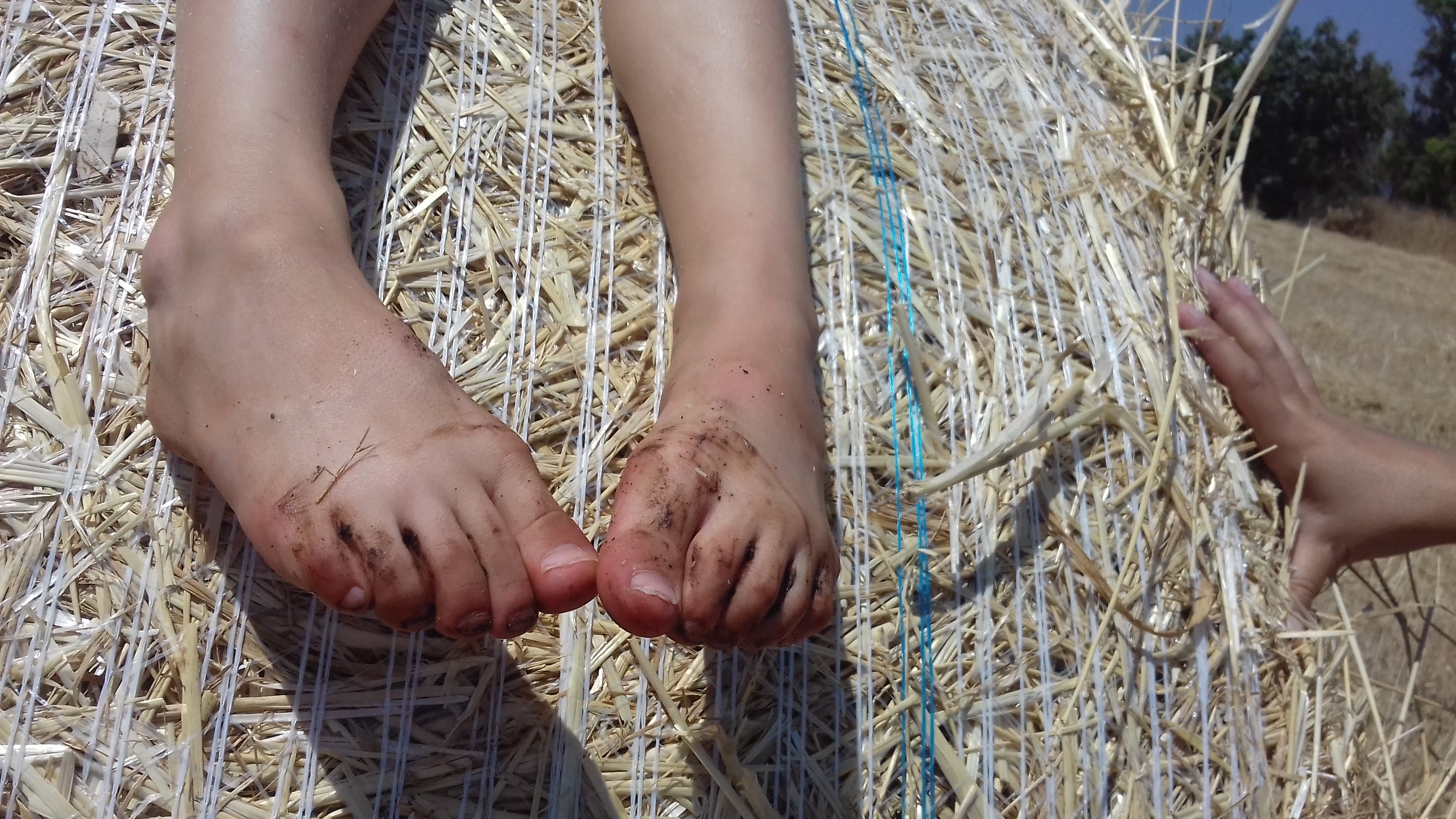 di CasaLaboratorio degli Urri -CasaLaboratorio degli Urri