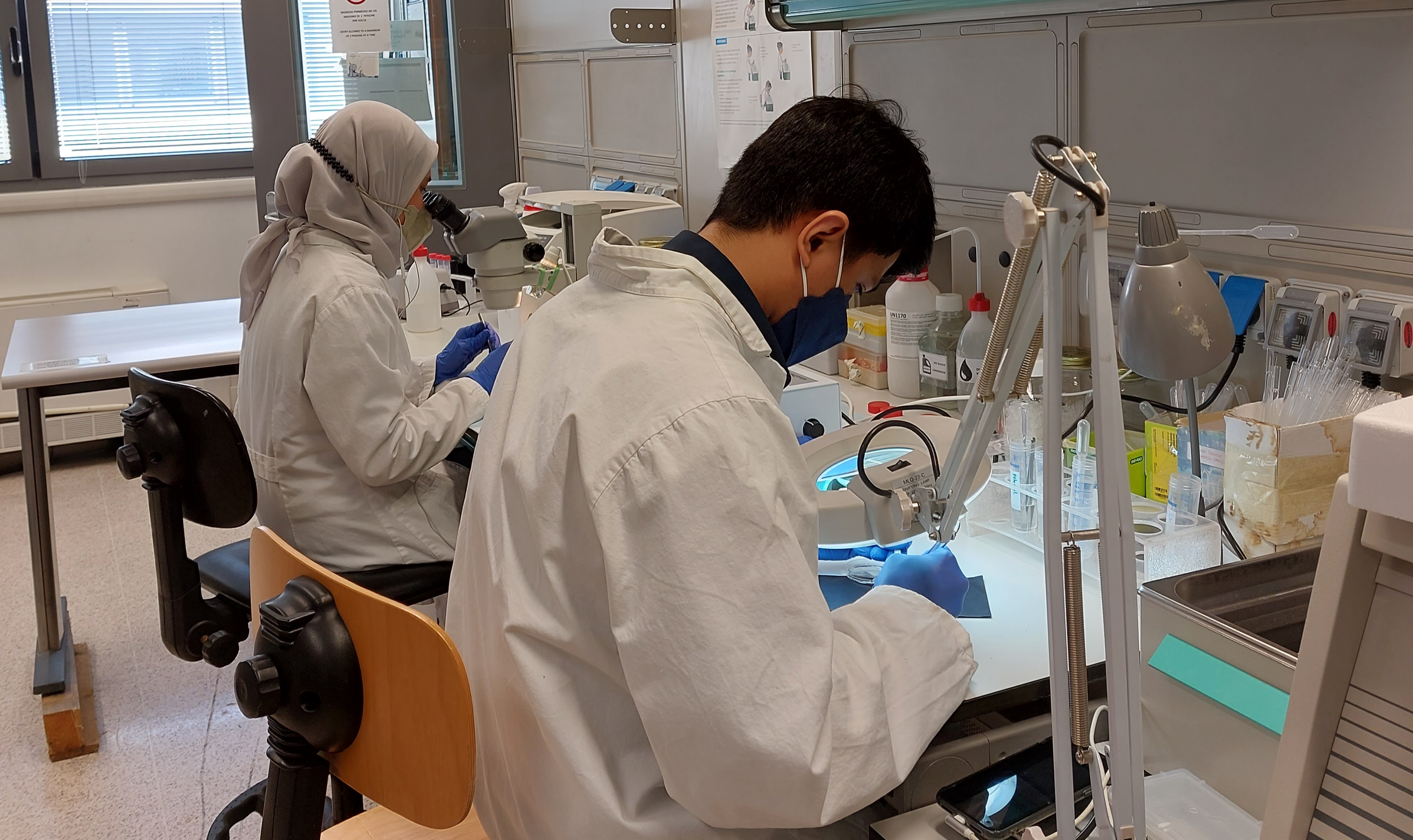 Progetto LIVER-BRAIN "Rita Moretti" di Fondazione Italiana Fegato - FIF Onlus Progetto LIVER-BRAIN "Rita Moretti"-Fondazione Italiana Fegato - FIF Onlus