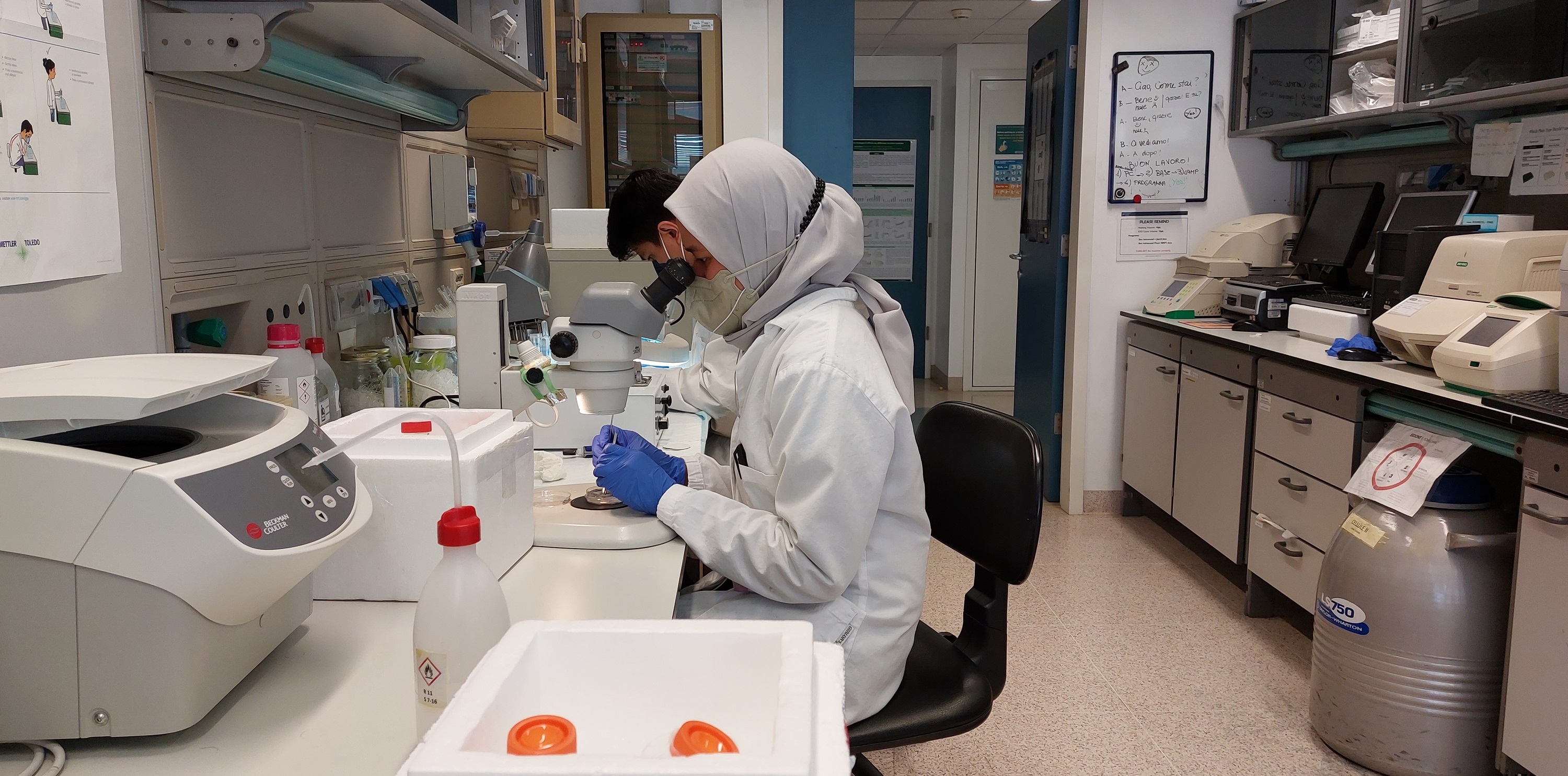 Progetto LIVER-BRAIN "Rita Moretti" di Fondazione Italiana Fegato - FIF Onlus Progetto LIVER-BRAIN "Rita Moretti"-Fondazione Italiana Fegato - FIF Onlus