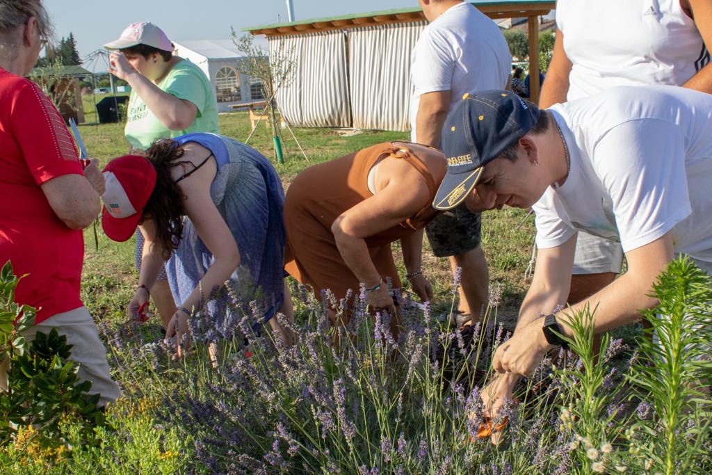 UN PULMINO PER LA PERSONA AL "CENTRO". di Ass. Vivere Sereni UN PULMINO PER LA PERSONA AL "CENTRO".-Ass. Vivere Sereni