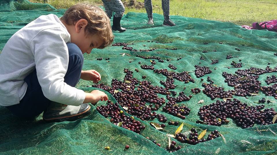 Un mondo a misura di bambino di Cooperativa Gabriella Ugolini a.r.l. O.N Un mondo a misura di bambino-Cooperativa Gabriella Ugolini a.r.l. O.N