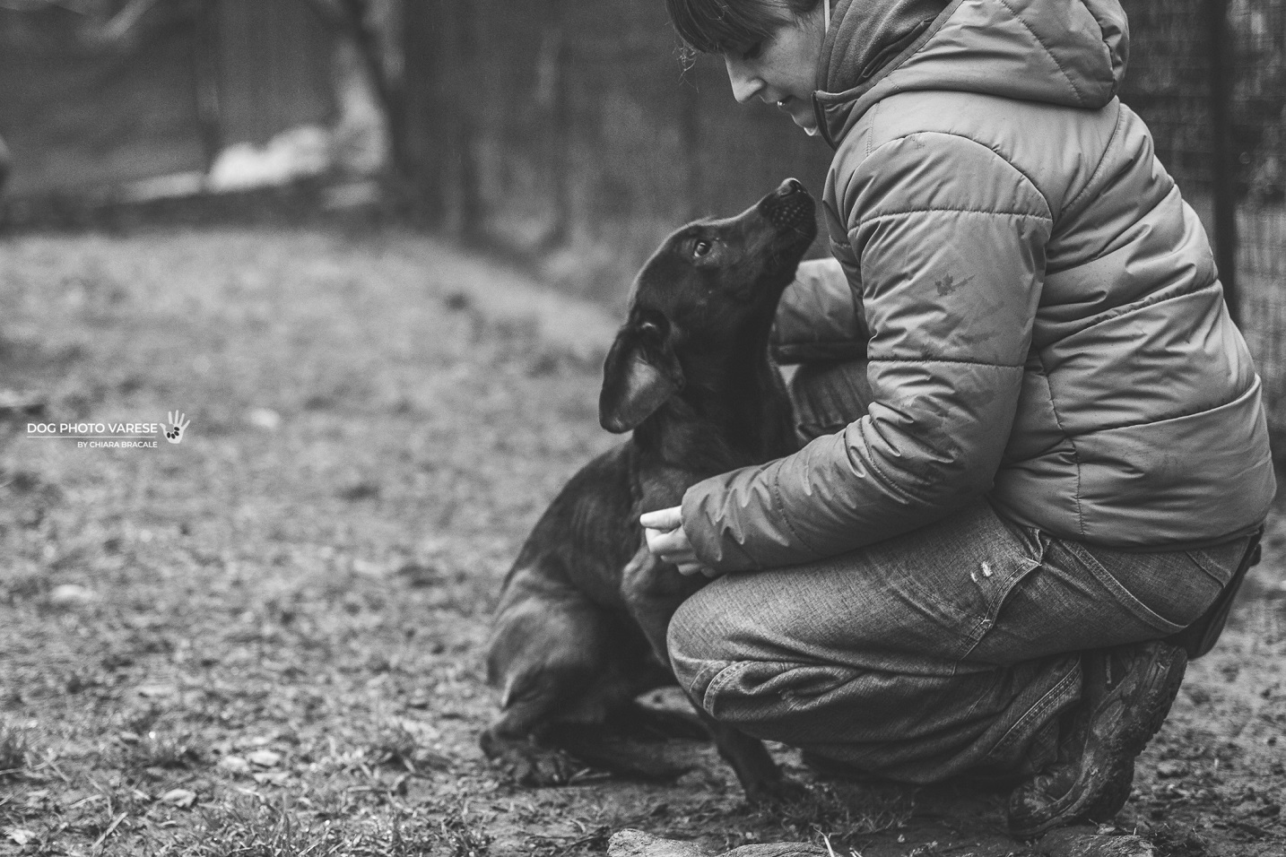 SCALDA CUCCIA PER I 4 ZAMPE DEL CANILE di SCALDA CUCCIA PER I 4 ZAMPE DEL CANILE -