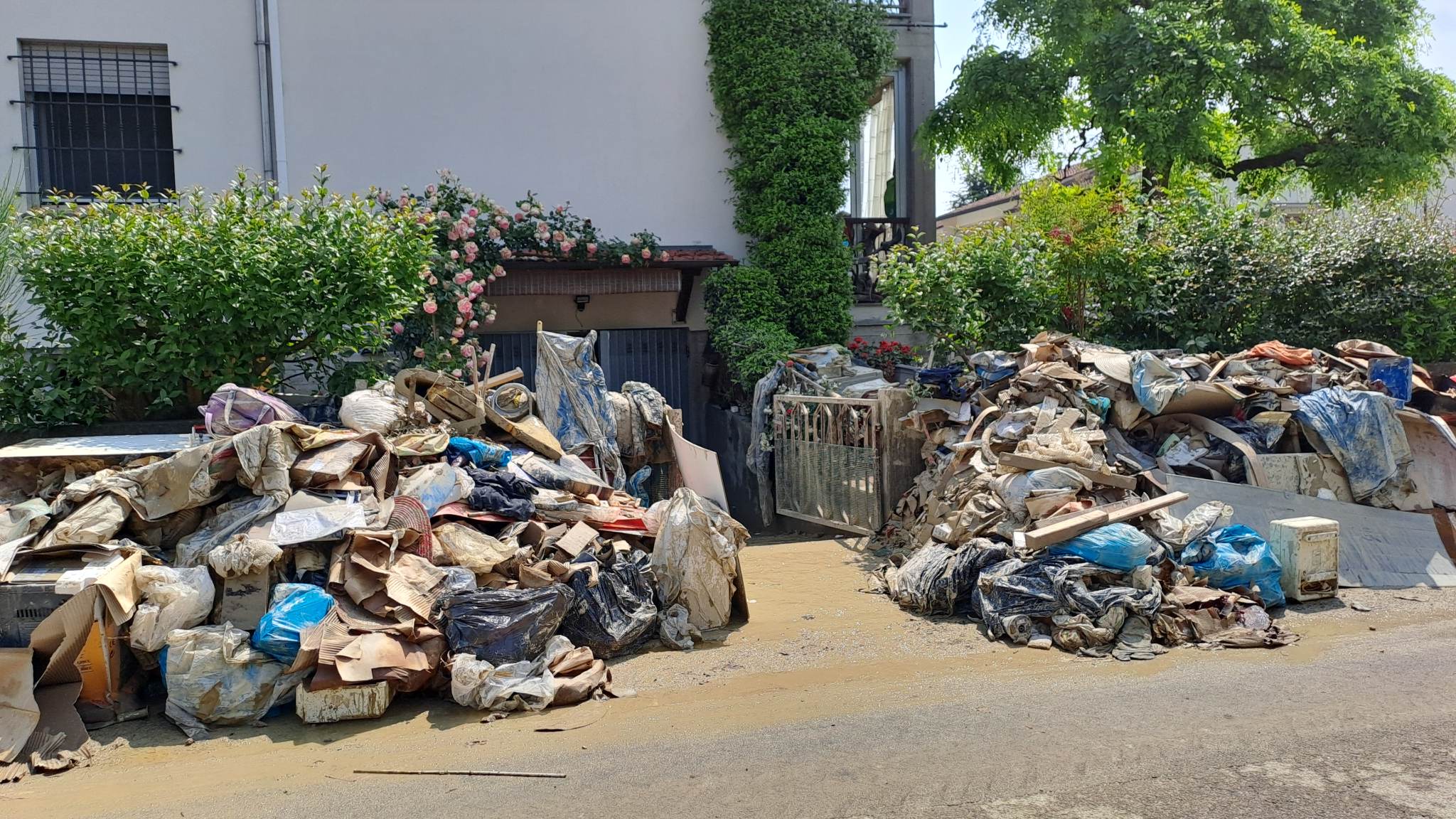 Ri-diamo un sorriso alla Romagna di A.M.A.Re - auto mutuo aiuto reumatici Ri-diamo un sorriso alla Romagna-A.M.A.Re - auto mutuo aiuto reumatici