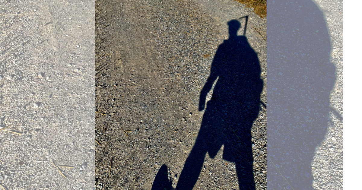 In cammino per la Pediatria di Padova di Fondazione Salus Pueri In cammino per la Pediatria di Padova-Fondazione Salus Pueri