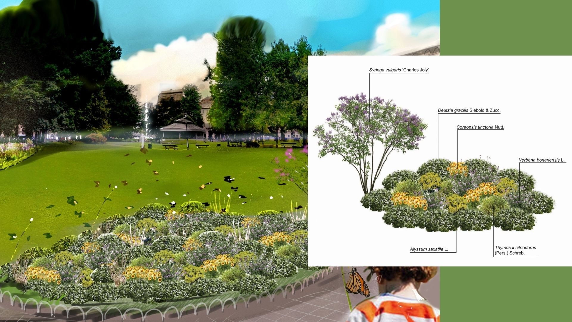 SEMINATO di Giardino forbito SEMINATO -Giardino forbito