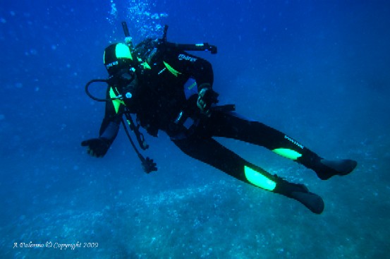 Un mare di opportunità di L.I.F.E. Un mare di opportunità-L.I.F.E.