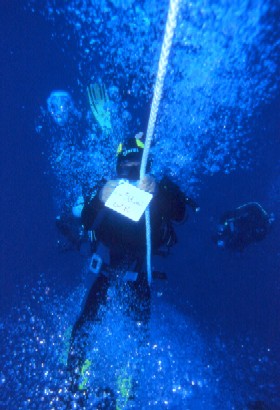 Un mare di opportunità di L.I.F.E. Un mare di opportunità-L.I.F.E.