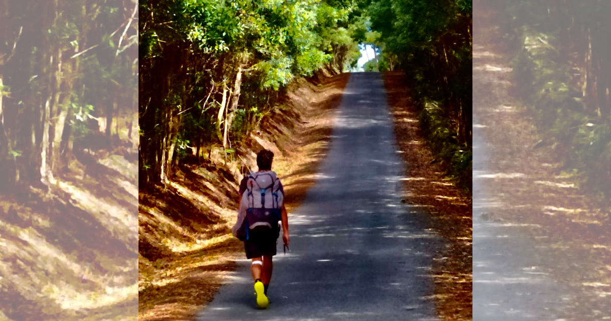 In cammino per la Pediatria di Padova di Fondazione Salus Pueri In cammino per la Pediatria di Padova-Fondazione Salus Pueri