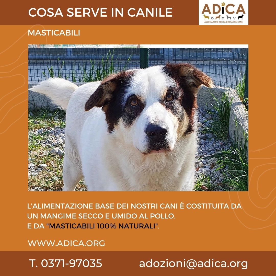 Una “masticata” di solidarietà! di A.DI.CA ODV Una “masticata” di solidarietà!-A.DI.CA ODV