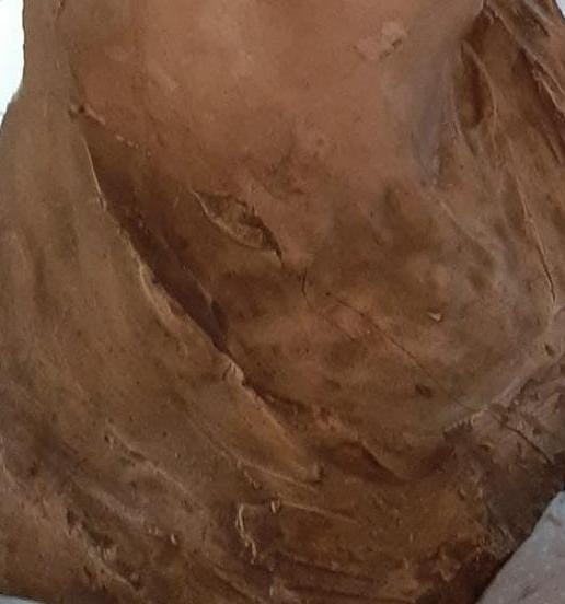 TORNERANNO A VIVERE di ORGANIZZAZIONE FLANGINI TORNERANNO A VIVERE-ORGANIZZAZIONE FLANGINI