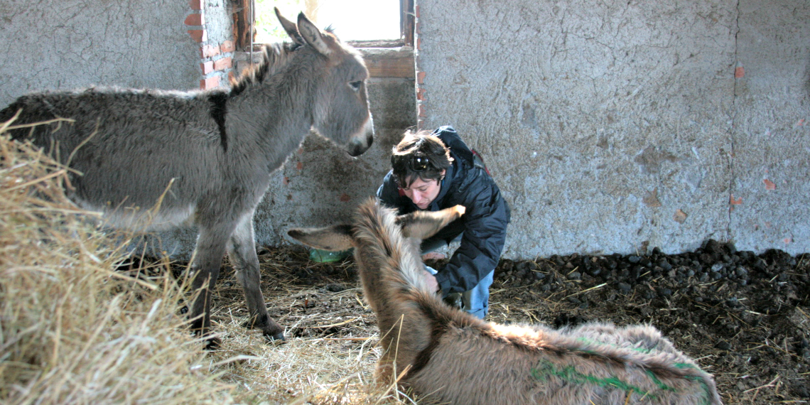 Barbara, responsabile del Rifugio degli Asinelli, durante i primi soccorsi a Colleferro Barbara, responsabile del Rifugio degli Asinelli, durante i primi soccorsi a Colleferro