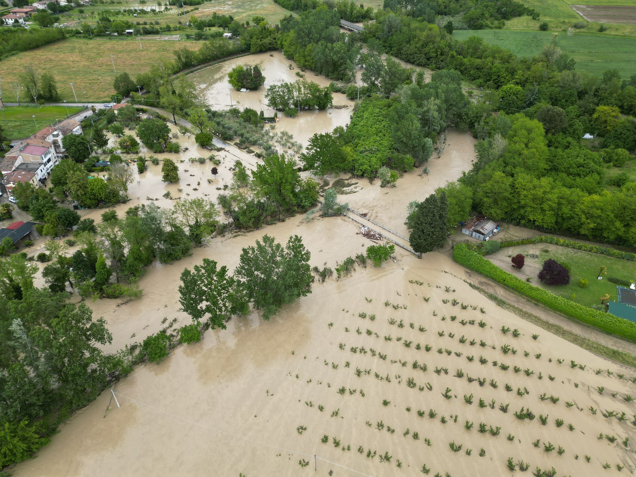 ASSIF non sta a guardare di ASSIF ASSIF non sta a guardare-ASSIF