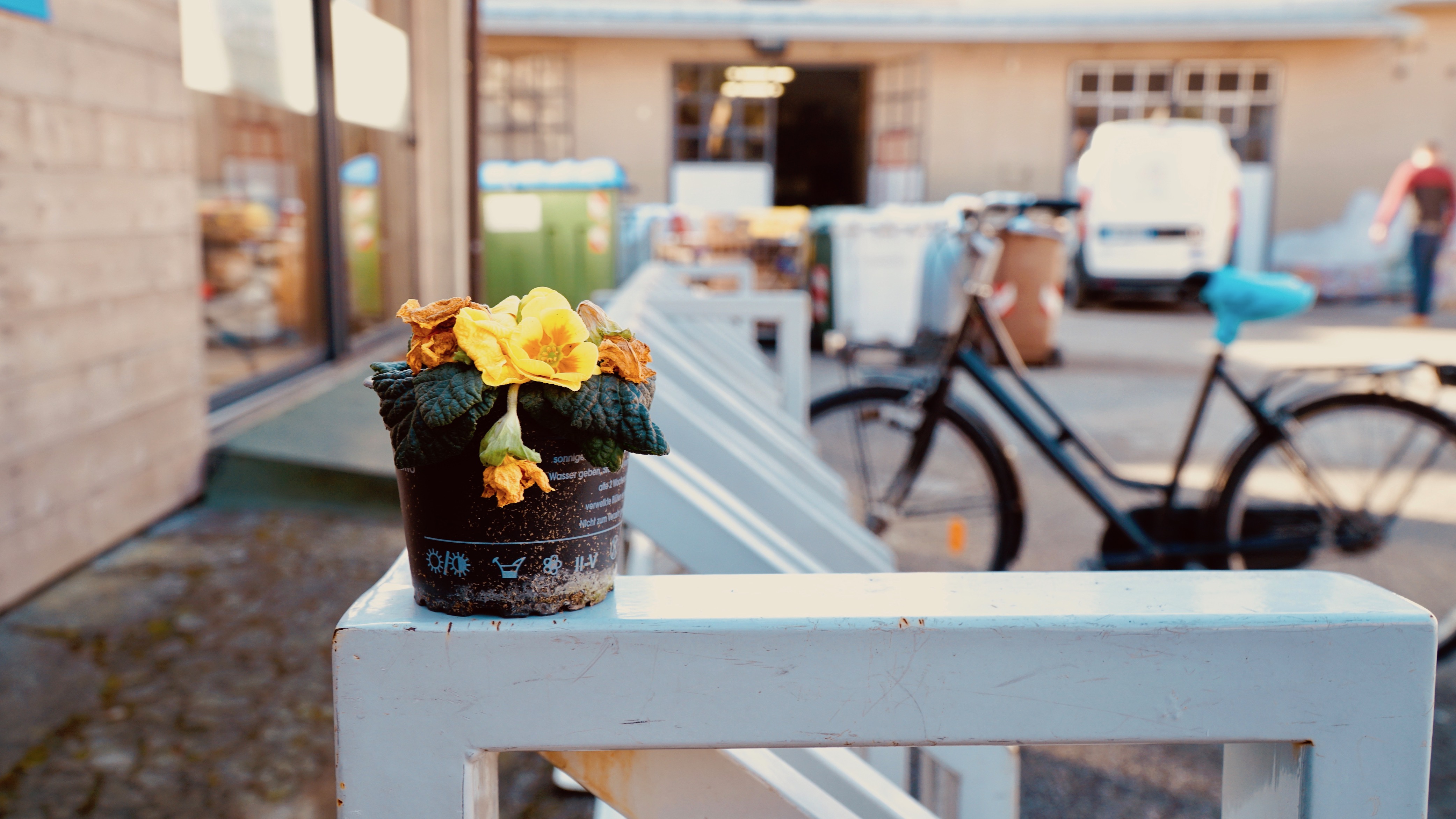 Zona Rossa CoVid-19: acquisto cibo di Emmaus per Caritas Lodigiana Zona Rossa CoVid-19: acquisto cibo-Emmaus per Caritas Lodigiana