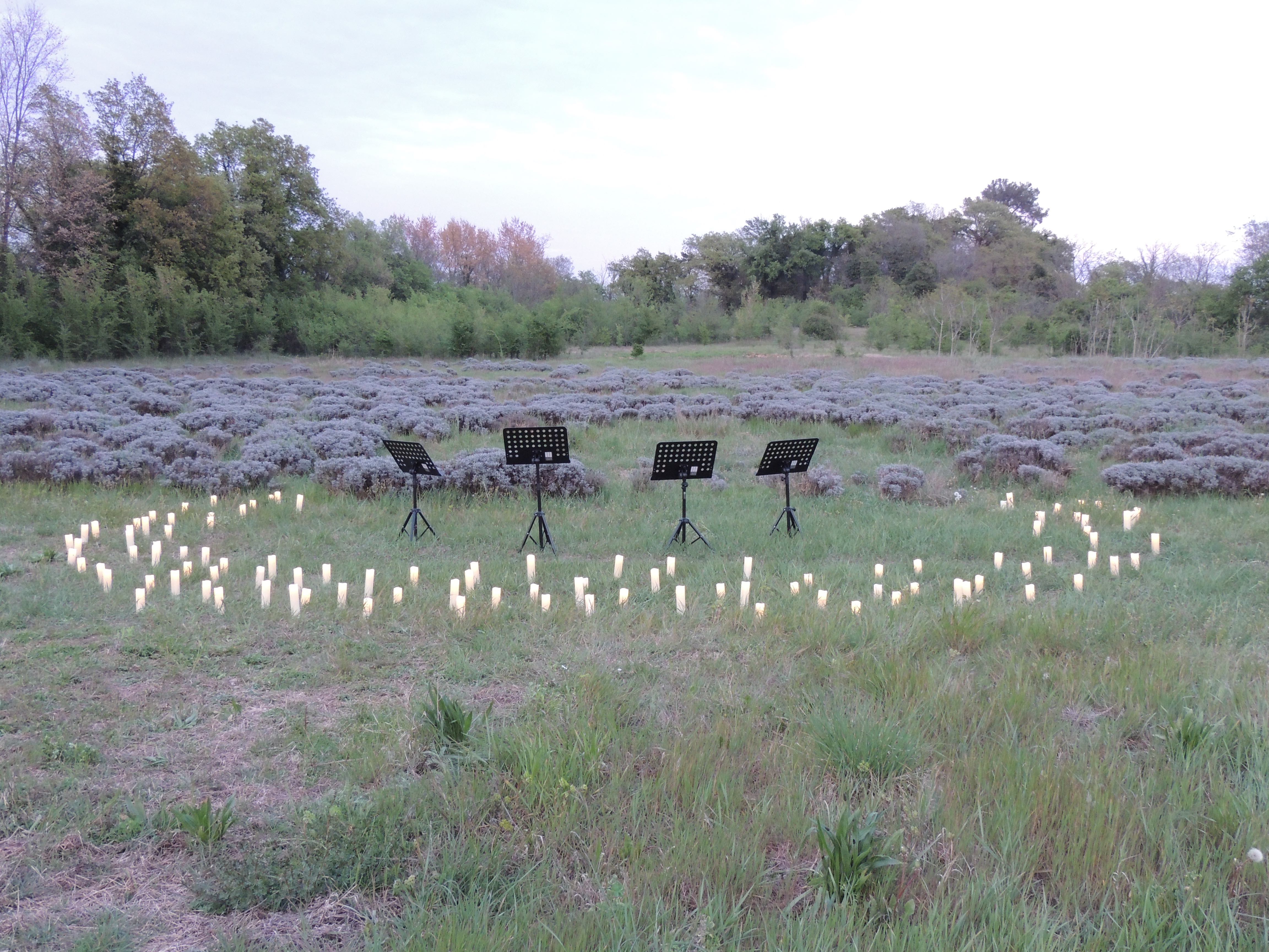 La Musica dei Luoghi di Gruppo Caronte La Musica dei Luoghi-Gruppo Caronte