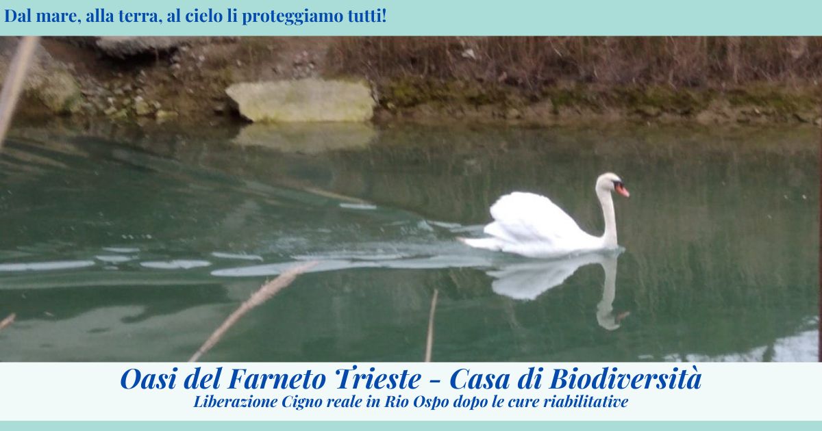 Oasi ENPA Trieste - Casa di Biodiversità di ENPA Oasi ENPA Trieste - Casa di Biodiversità-ENPA